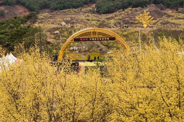  구례산수유꽃축제 2018 ~ 수락폭포 ( 구례 가볼만한곳 )