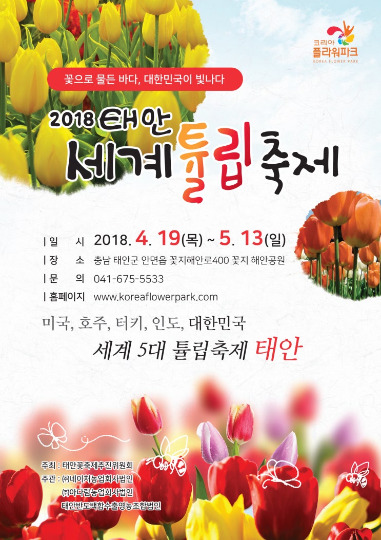  2018 태안튤립꽃 축제는 안면도 꽃지해수욕장에서