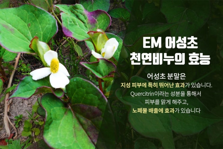  [여드름피부에좋은] em 어성초 천연비누.서현주물럭비누