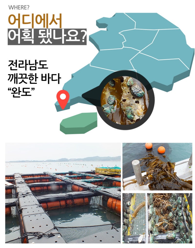 완도전복직거래전문점 두팜에서 만난 전복 1kg 상품! 6