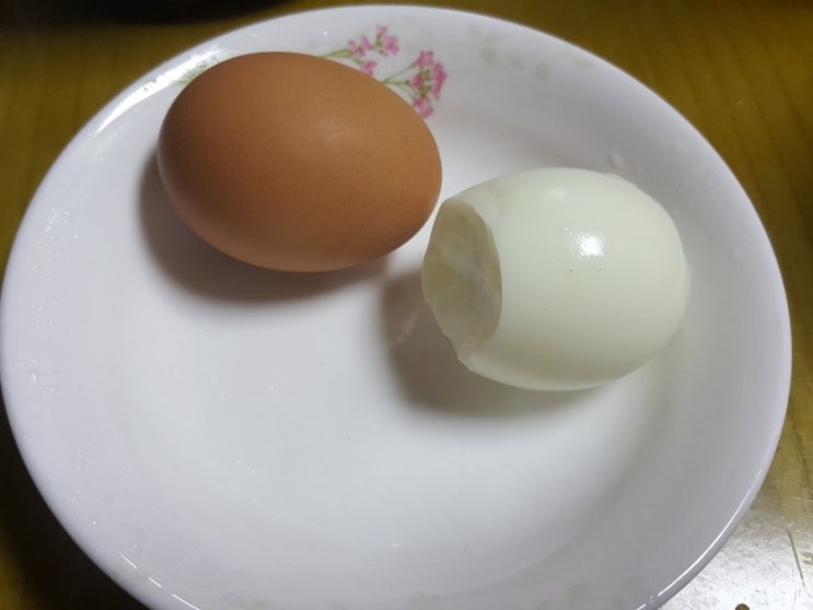  [다이어트 일기] 다이어트 일기 15일차 다시 다이어트식 돌입과 할라피뇨