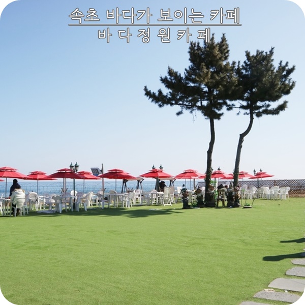  속초 가볼만한 곳. 바다가 보이는 카페 바다정원