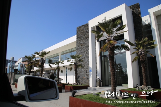  경주맛집 하림반점 벤자마스카페