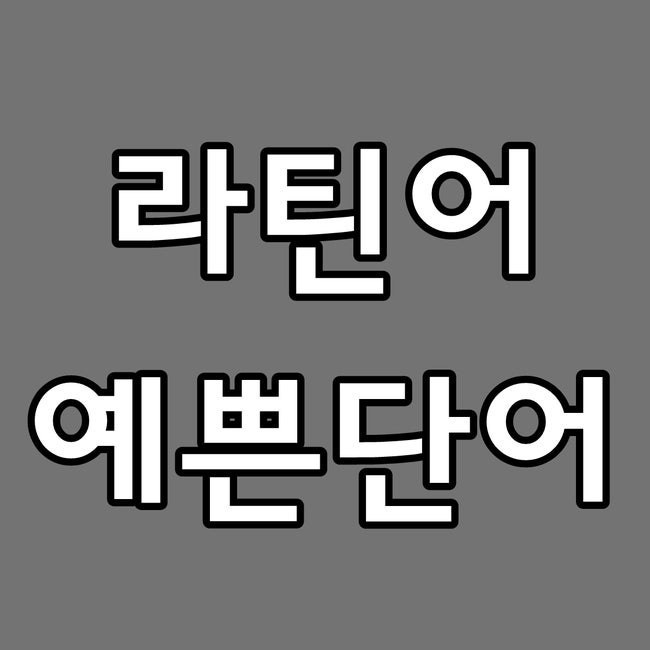 라틴어 예쁜단어 모음 : 네이버 블로그