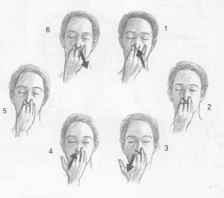 호흡법] 교호호흡 (나디 쇼다나 Nadi-Shodhana) : 네이버 블로그