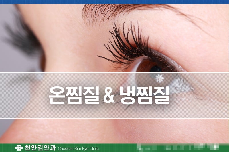 눈이 건조할 때 손목이 아플 때 더 진심으로 찜질(온찜질, 냉찜질 가능) 8