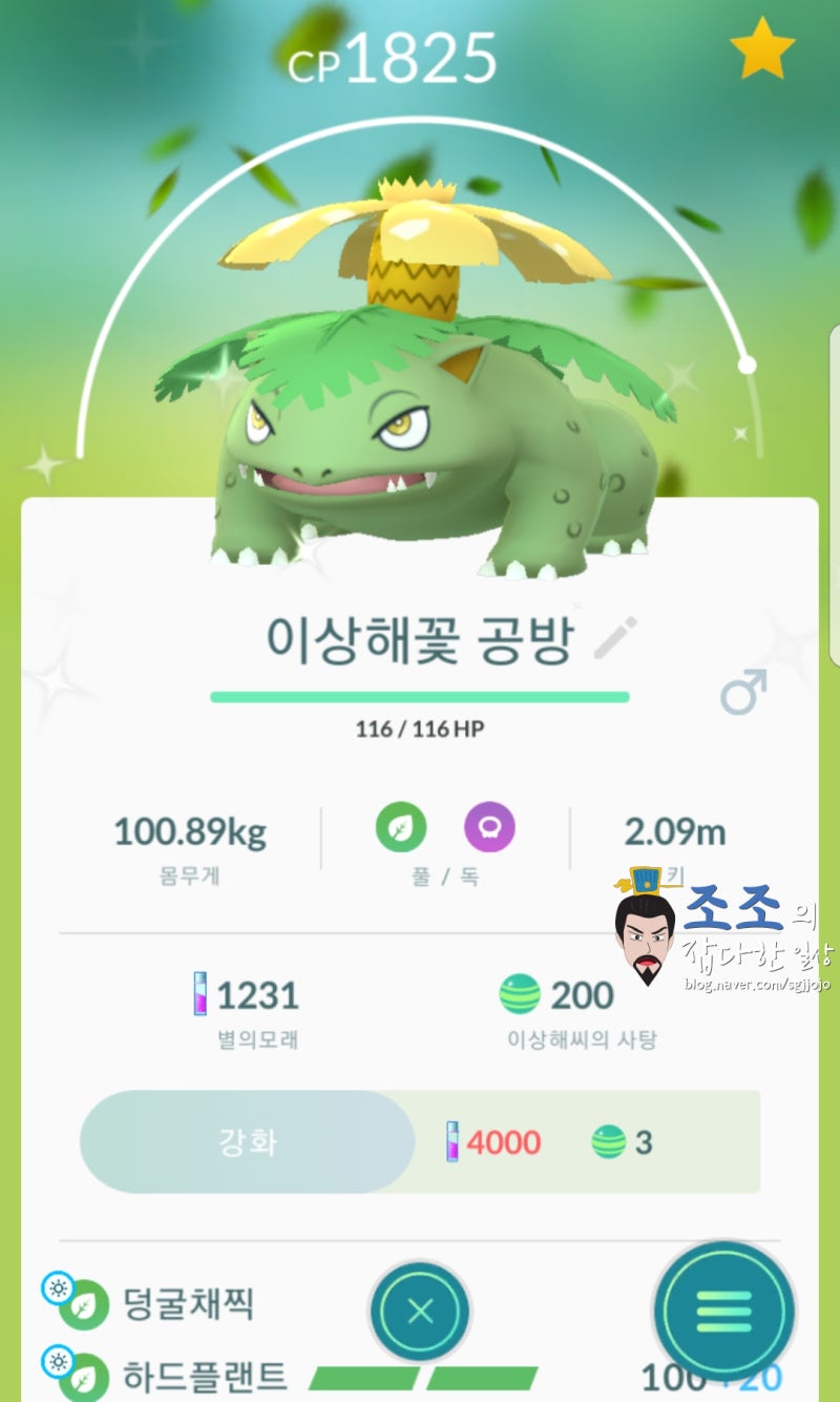 포켓몬고 이로치 이상해꽃 획득!!(커뮤니티데이) : 네이버 블로그