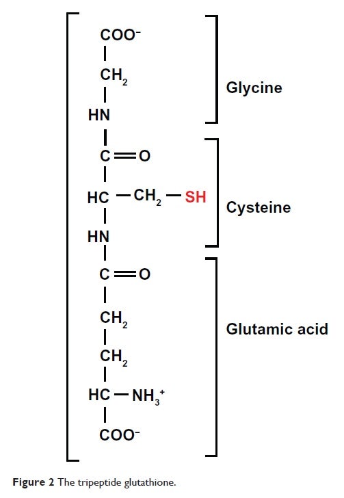 side effects of glutathione on skin glutathione skin purging Why Does Glutathione Cause Acne Breakouts?