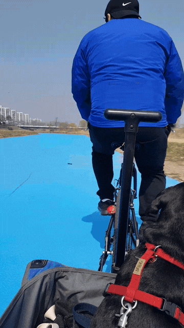 자전거 25마리 개 공격 a b c d