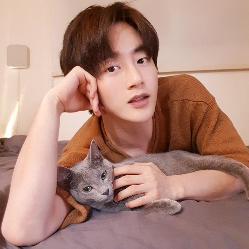 백퍼센트 민우 사망 소식 : 네이버 블로그