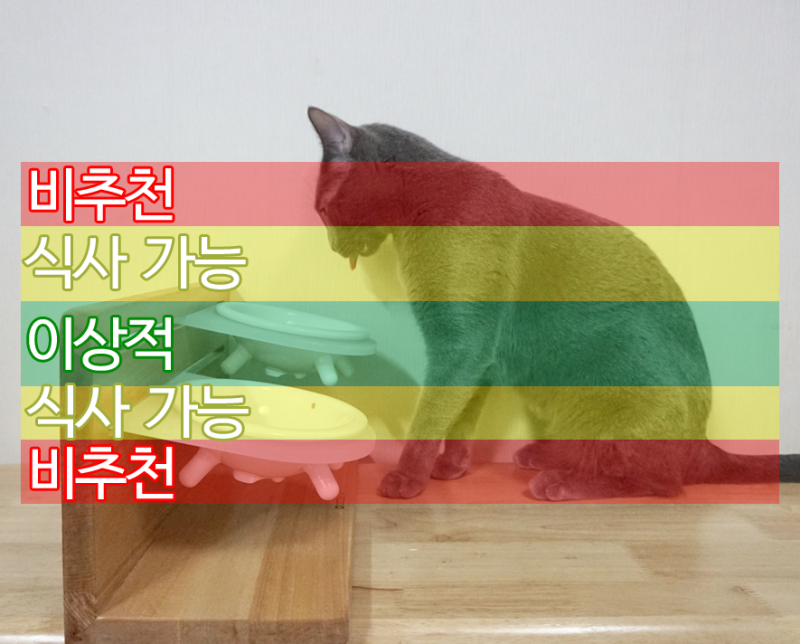 고양이에게 알맞은 식탁 높이 찾아주기! : 네이버 블로그 고양이에게 알맞은 식탁 높이 찾아주기! : 네이버 블로그