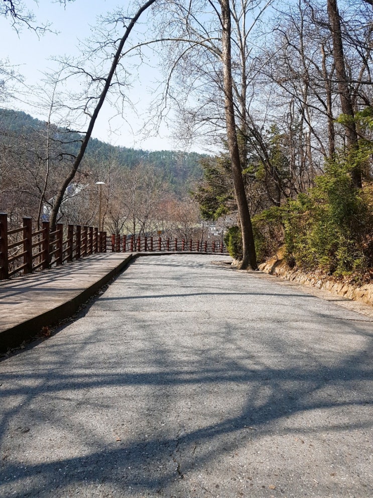  대전/주말/대흥동/산책/보문산공원