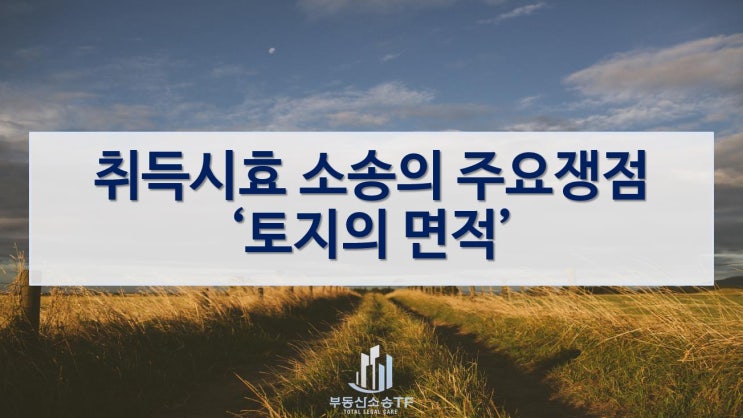  취득시효 소송의 주요 쟁점-토지의 면적에 관하여