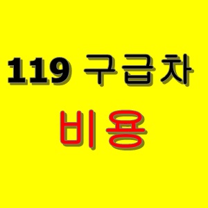 119 구급차 비용/요금