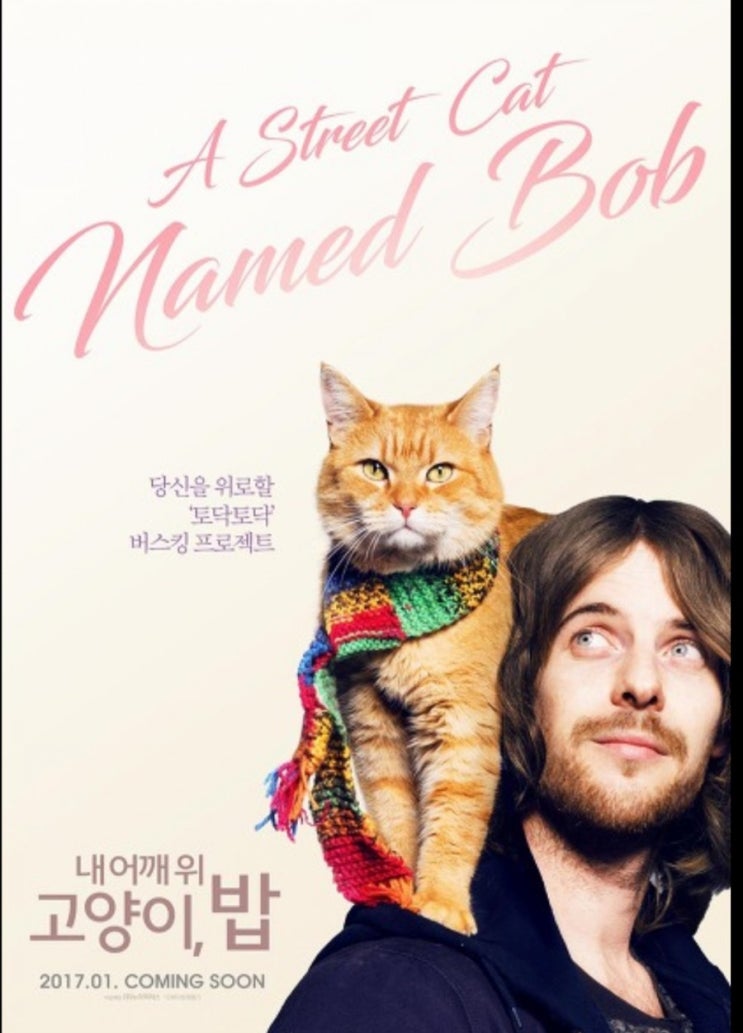  감성힐링 영화 '내 어깨위 고양이 밥' 후기.