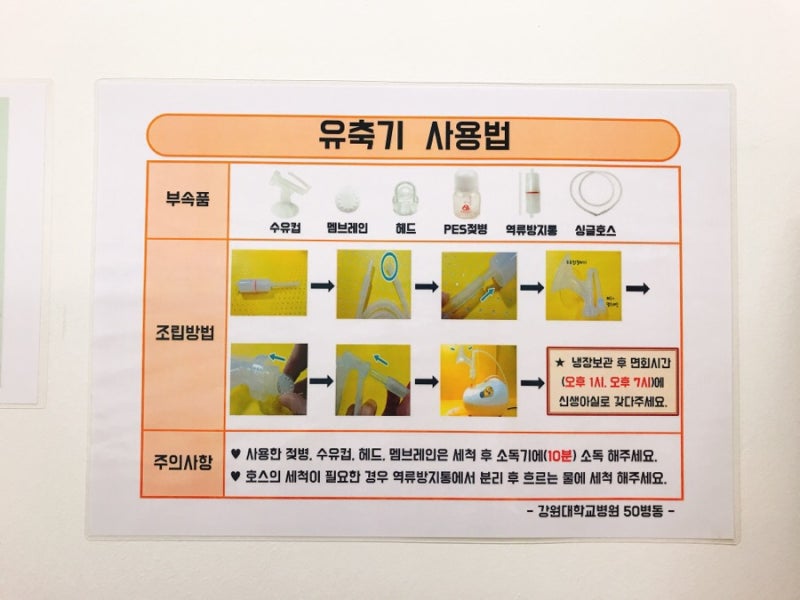 초유가 나오는 기간, 모유 수유 기간은 언제까지야?