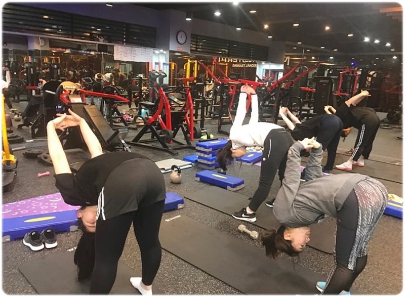 다들 스쿼트 열심히 하고 계신가요?[포항헬스]