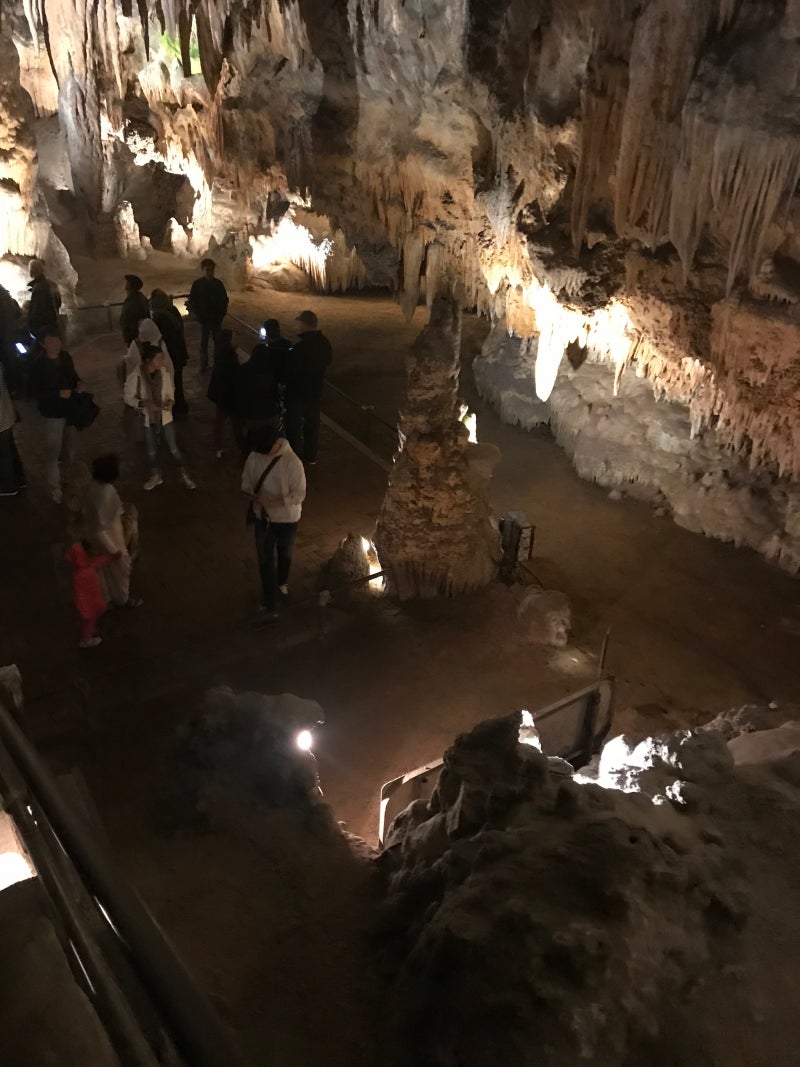 미국 버지니아 여행기 : '루레이 동굴(Luray Caverns)' 티켓 저렴하게 구매하기 Tip : 네이버 블로그