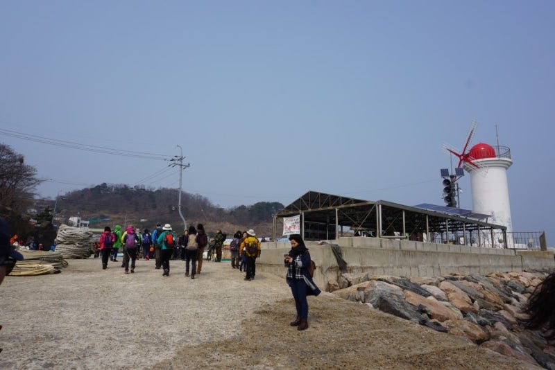 안산 풍도 후망산, 봄야생화 최고의 인기명소 트레킹. : 네이버 블로그