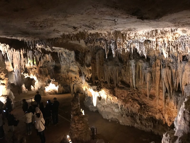 미국 버지니아 여행기 : '루레이 동굴(Luray Caverns)' 티켓 저렴하게 구매하기 Tip : 네이버 블로그