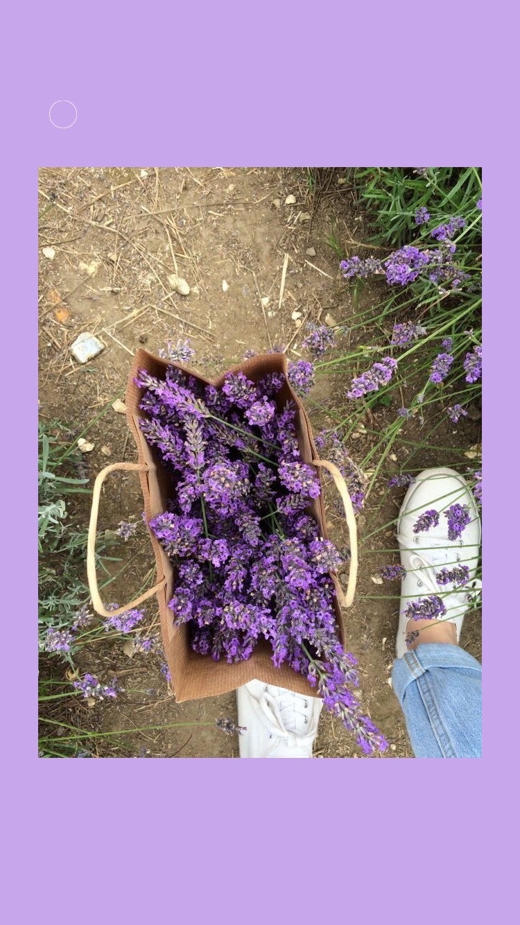 아이폰 배경화면 29 :: 블러 텀블러 심플 : 네이버 블로그, image size:750x1334