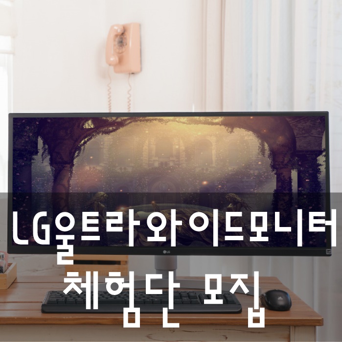 네이버 체험단 LG 울트라와이드 모니터 올해 네이버 사고치네요