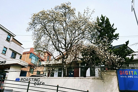 꽃마당셀프카페 이미지
