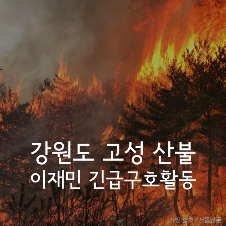  강원도 고성 산불 이재민 긴급구호활동 현황