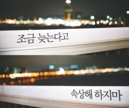  좋은 글귀들과 행복한 사진..