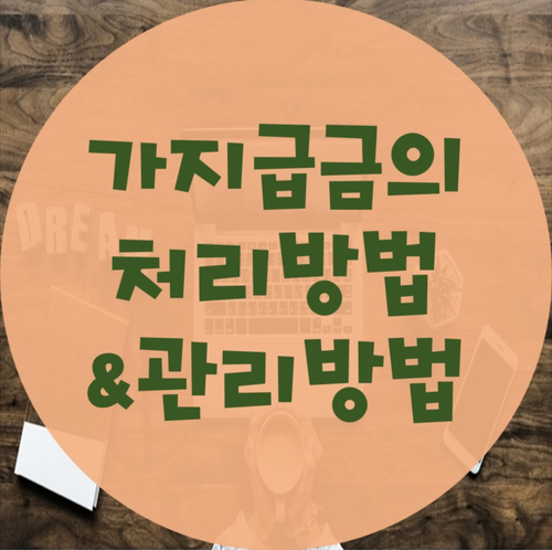  가지급금의 처리방법 및 관리방법