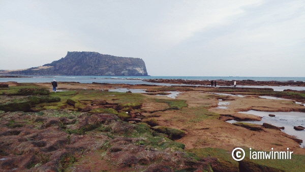 [제주도 3박 4일] 2일차, 성산 광치기해변