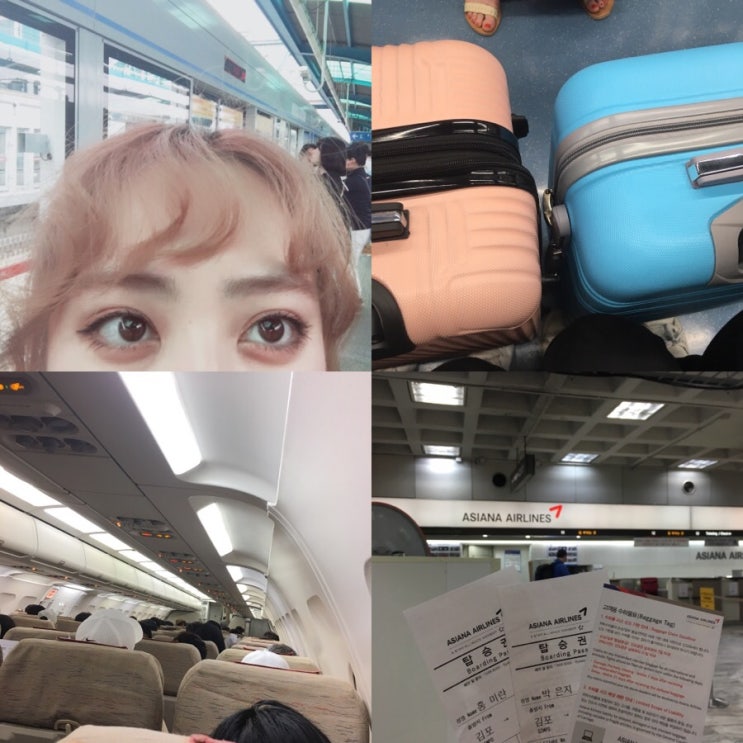  [ 제주도 ] 나의 첫 제주도는 따듯하다