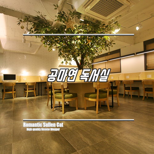 시작 스터디 카페에서 방해받지 않는 시간, 시작