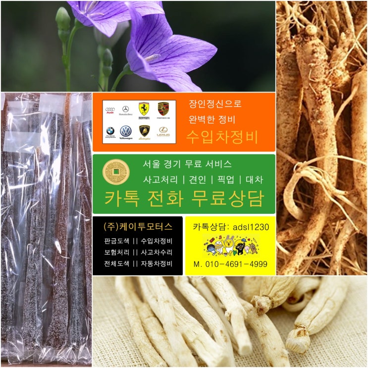  도라지 효능 효과 부작용 [길경,트리테르페노이드 사포닌,플라티코딘,신농본초경,향약집성방,동의보감,일화본초,도라지배즙,도라지청] 기침 가래 천식 호흡기질환 예방 효과