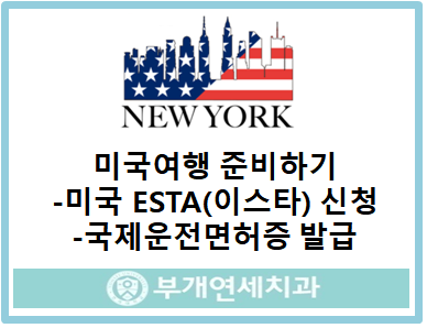 미국여행 준비하기-esta비자 발급받는 방법 9