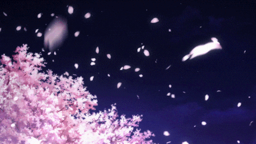 예쁜 꽃 애니 움짤 7탄 ( 밤의 벚꽃 ) : 네이버 블로그