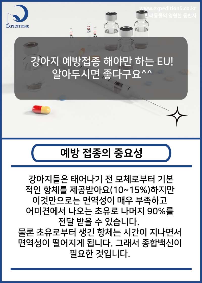 예방접종/강아지] 강아지 예방접종에 대해 간략하게 알아볼까요! : 네이버 블로그