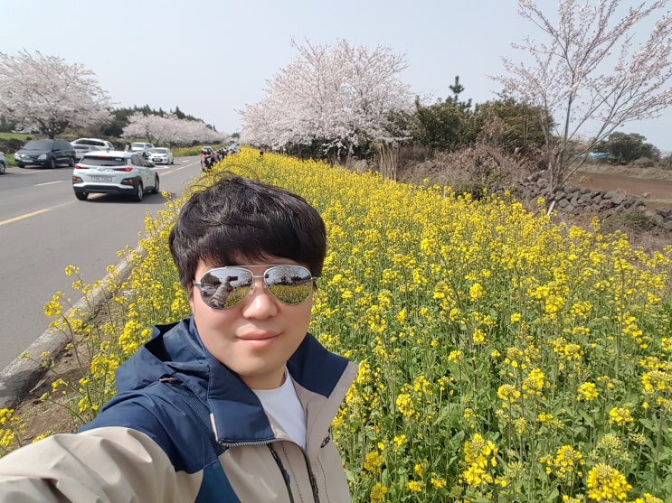 오늘 제주여행 코스 유채꽃명소 녹산로 그리고 일출랜드, 정방폭포 오늘 제주여행 코스 유채꽃명소 녹산로 그리고 일출랜드, 정방폭포