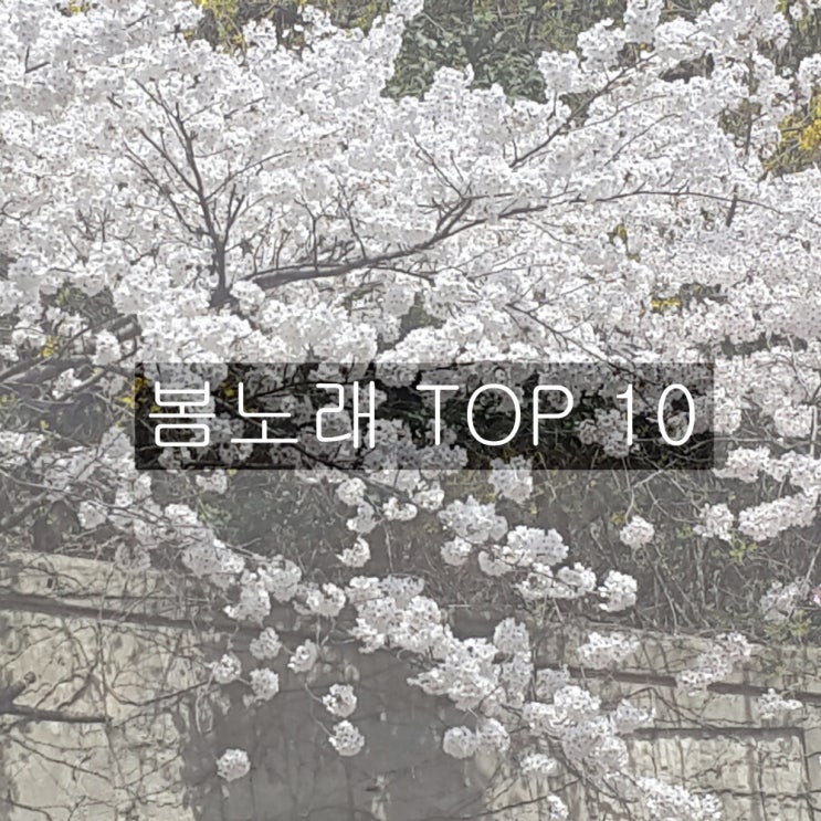 봄노래 TOP 10 1위는 벚꽃엔딩