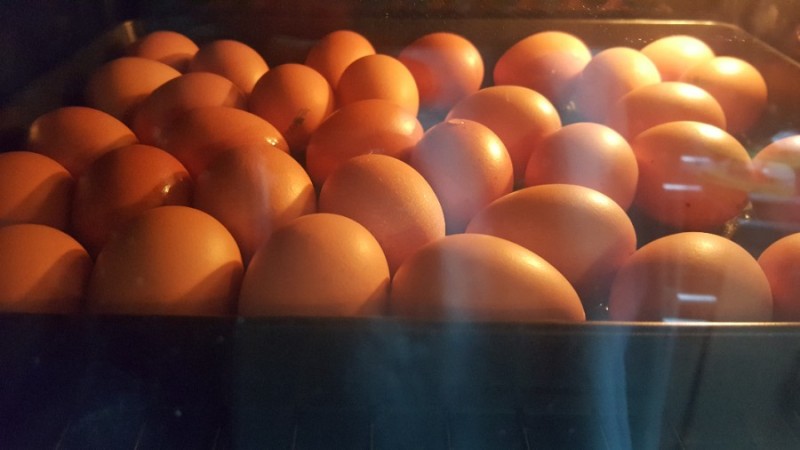 오븐으로 계란굽기 : 네이버 블로그