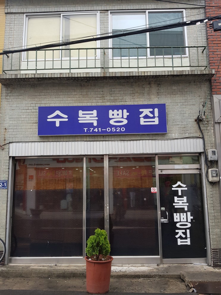  [경남/진주/평안] 60년전통 진주 꿀빵 맛집  - 수복빵집
