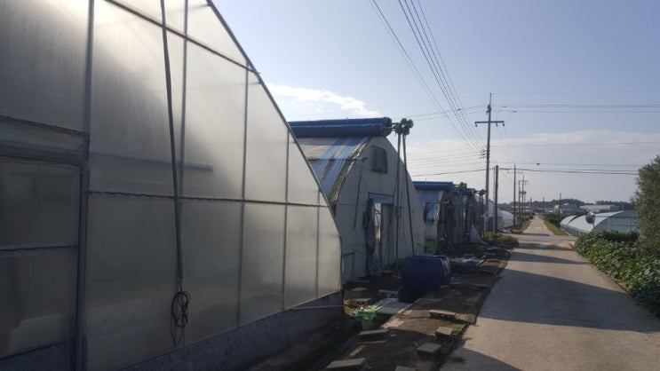  [#음성화훼수출단지, #다육농장] #차세대한국형스마트팜온실냉난방시스템, #CES탄소섬유난방시스템
