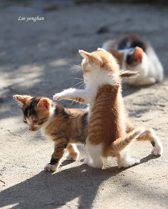  읏차~!