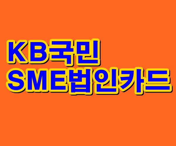  KB국민SME법인카드