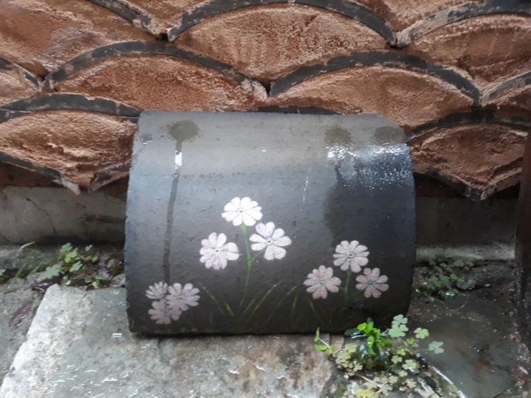  개명과 사주상담.