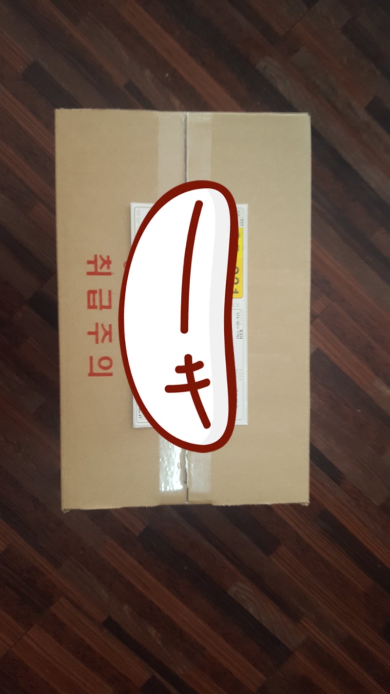 닥터큐 발목펌프기 사용 후기