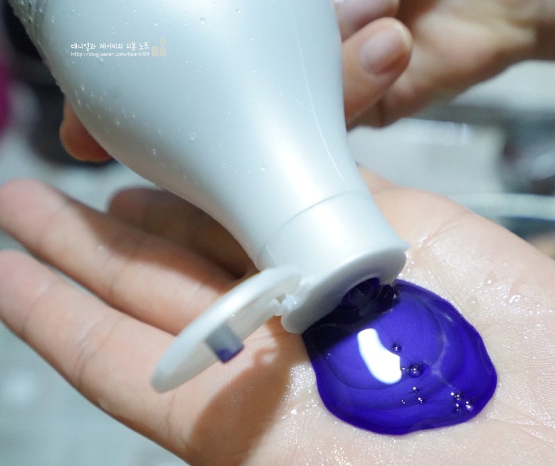 탈색머리 관리 로레알 보색샴푸 이게 정답