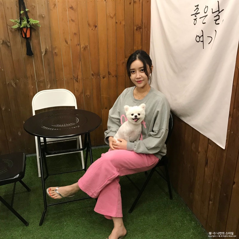 여자 추리닝 세트 구성 착했던 디자인! 꼬꼬마별옷장