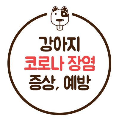  강아지 코로나 장염 바이러스 - 원인/증상/치료/예방 방법