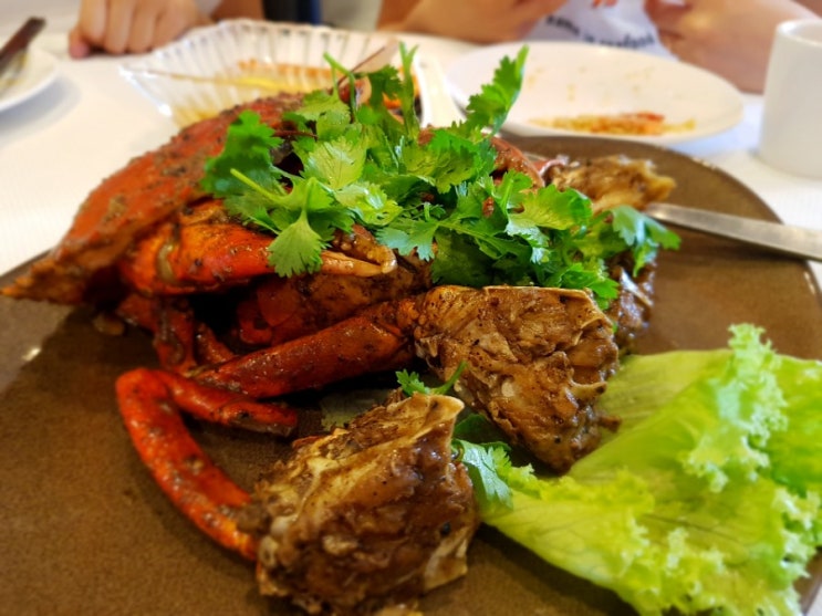  싱가포르 Singapore 1